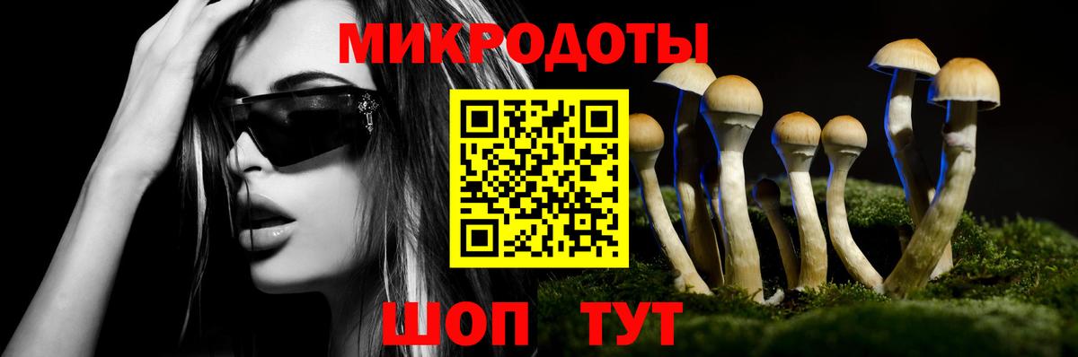 Строитель  Галлюциногенные грибы ЛСД  Вход с VPN 